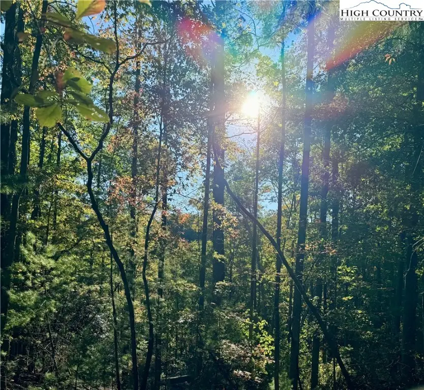 TBD Penny Lane, Deep Gap, NC 28618 - Image #3