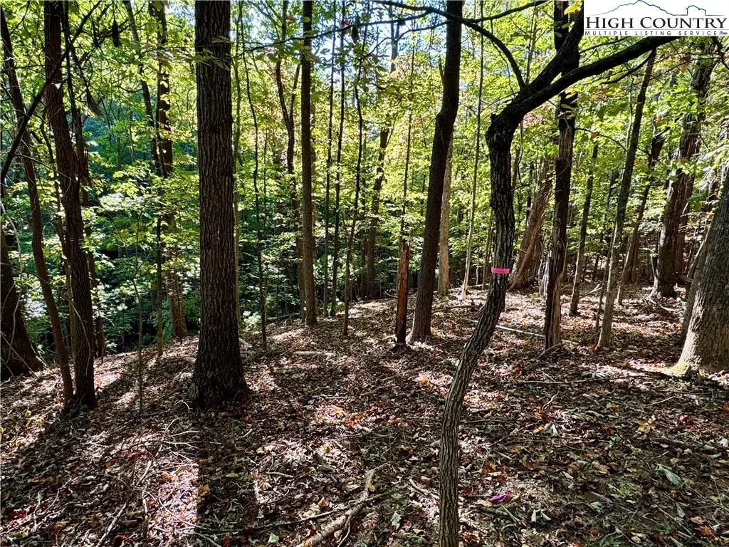 TBD Penny Lane, Deep Gap, NC 28618 - Image #1