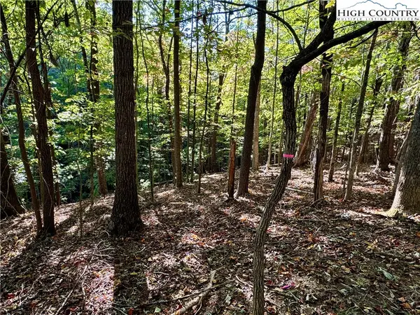 TBD Penny Lane, Deep Gap, NC 28618