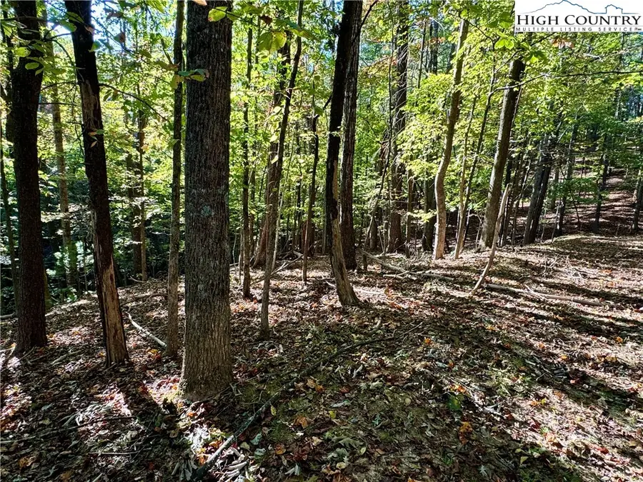 TBD Penny Lane, Deep Gap, NC 28618 - Image #2