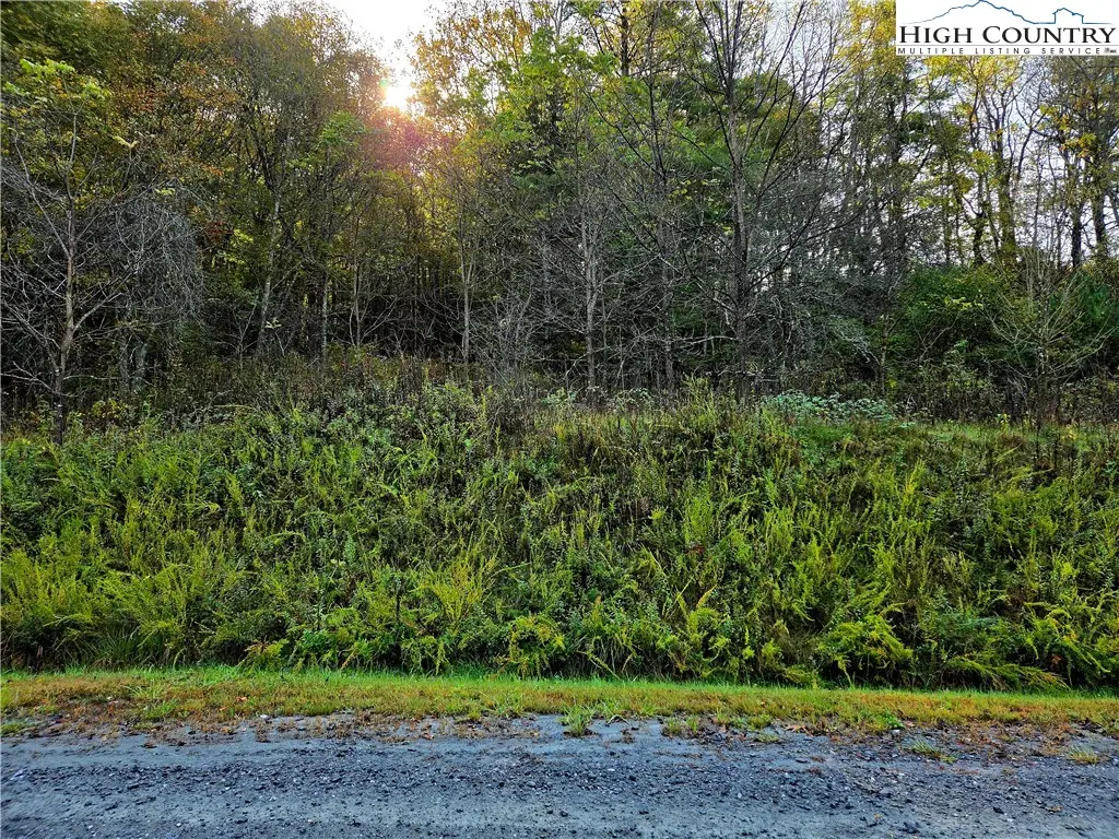 Lot 31 Riverstone, Laurel Springs, NC 28644 - Image #1
