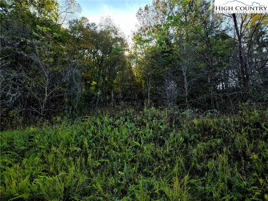 Lot 31 Riverstone, Laurel Springs, NC 28644 - Image #2