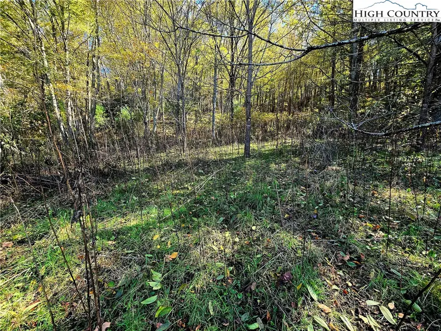 Lot 31 Riverstone, Laurel Springs, NC 28644 - Image #3