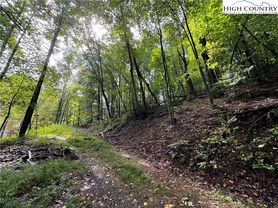 TBD Wildcat Road, Deep Gap, NC 28618 - Image #3