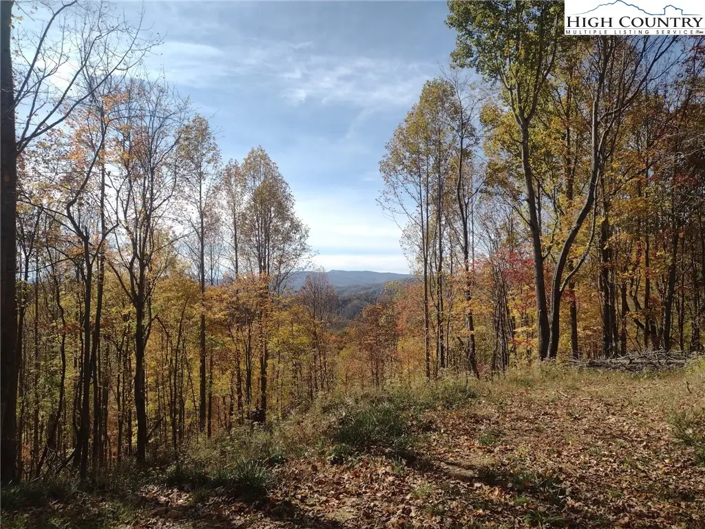 TBD N Us Hwy 421, Zionville, NC 28698 - Image #1