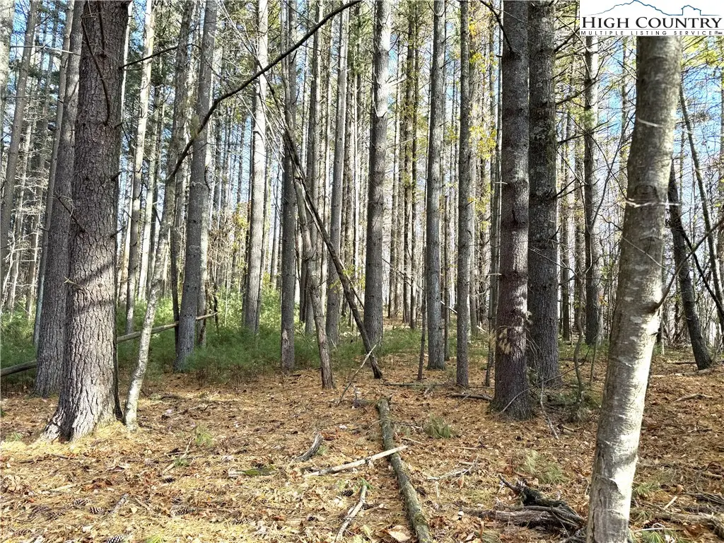 TBD Jr Dairy Road, Ennice, NC 28623 - Image #1