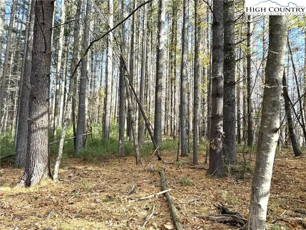 TBD Jr Dairy Road, Ennice, NC 28623