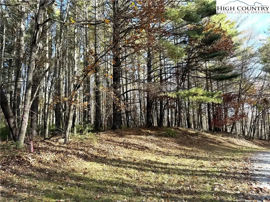 TBD Jr Dairy Road, Ennice, NC 28623 - Image #2