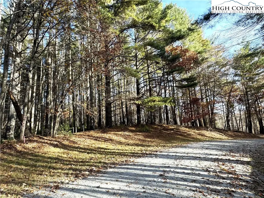 TBD Jr Dairy Road, Ennice, NC 28623 - Image #3