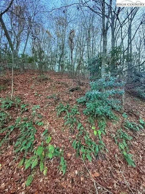 TBD Lakeside Drive, West Jefferson, NC 28694 - Image #3