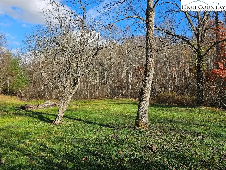 Tract 1 Nile Road, Sparta, NC 28675 - Image #3