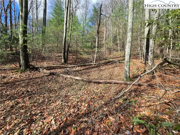 Lot 25 Riverstone, Laurel Springs, NC 28644