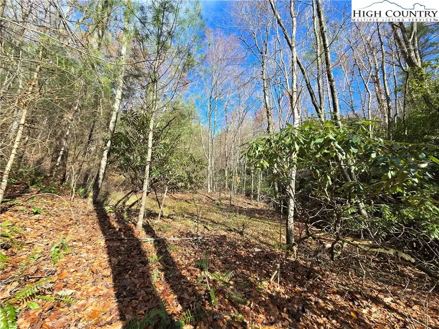 Lot 25 Riverstone, Laurel Springs, NC 28644 - Image #3
