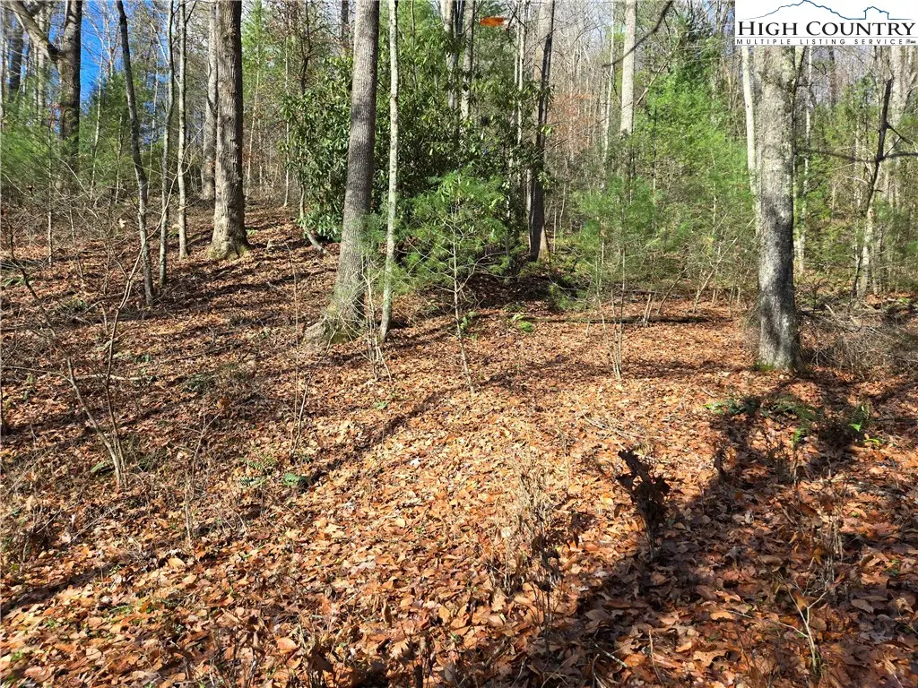 Lot 24 Riverstone, Laurel Springs, NC 28644 - Image #1