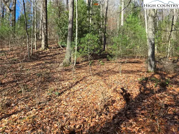 Lot 24 Riverstone, Laurel Springs, NC 28644