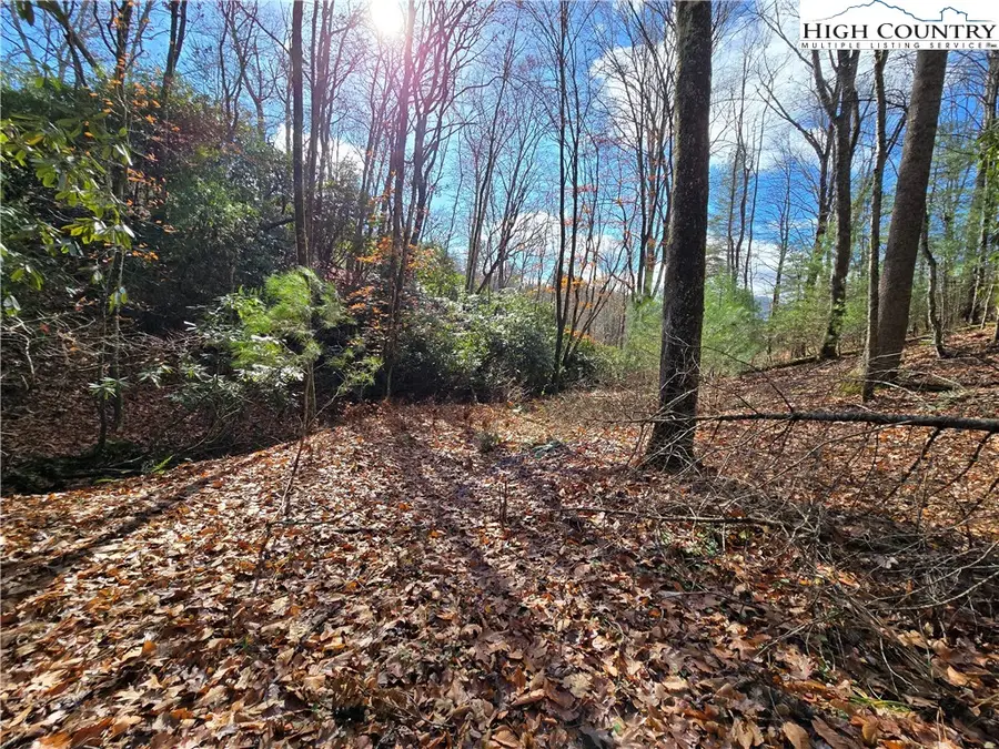 Lot 24 Riverstone, Laurel Springs, NC 28644 - Image #2