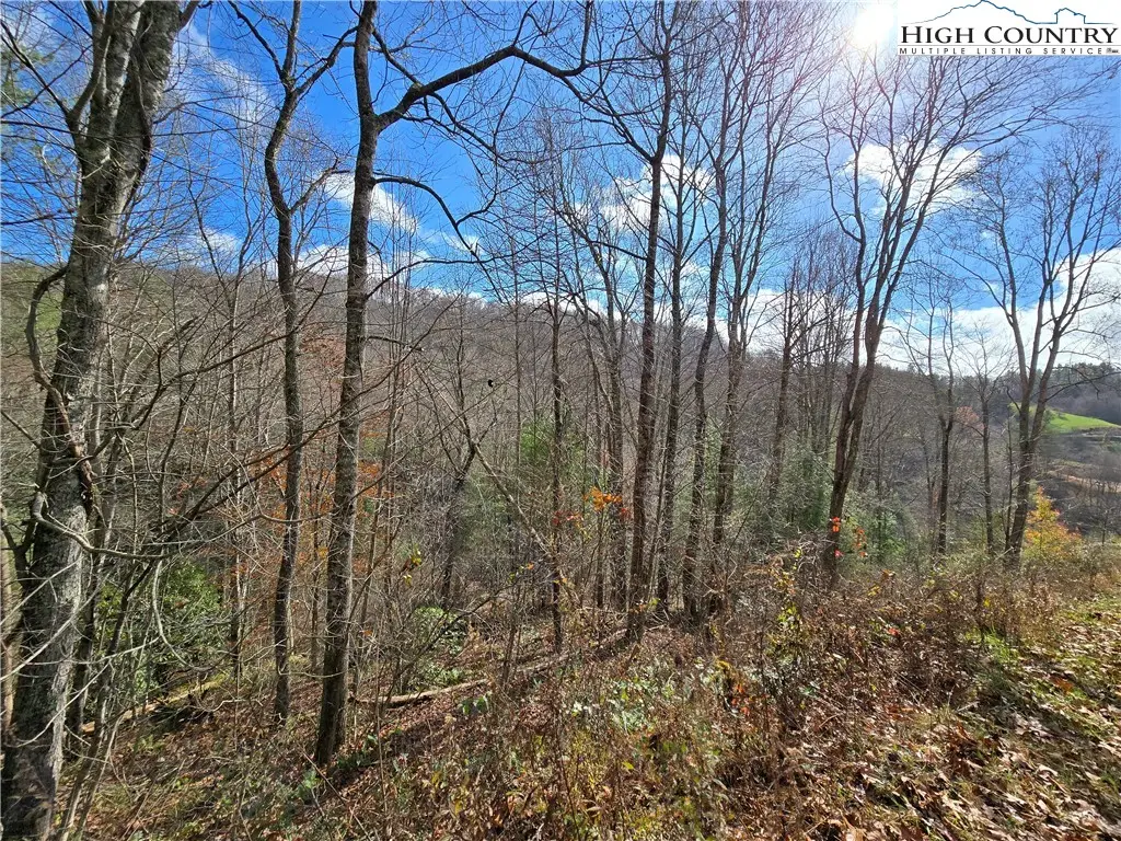 Lot 24 & 25 Riverstone, Laurel Springs, NC 28644 - Image #1