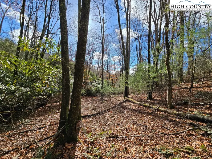 Lot 24 & 25 Riverstone, Laurel Springs, NC 28644 - Image #2