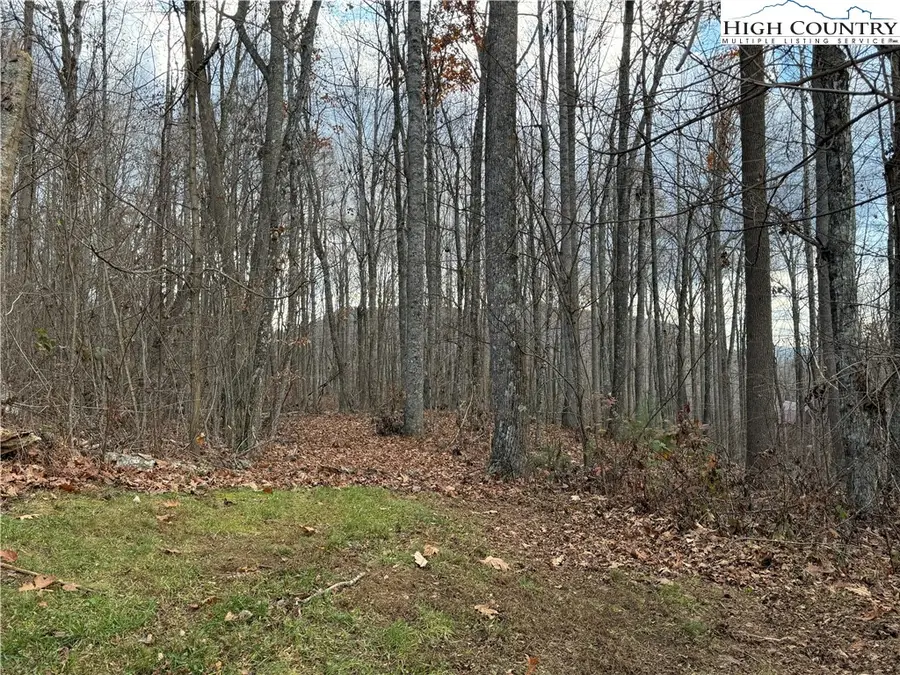 TBD Sonterra Drive, Lansing, NC 28643 - Image #2