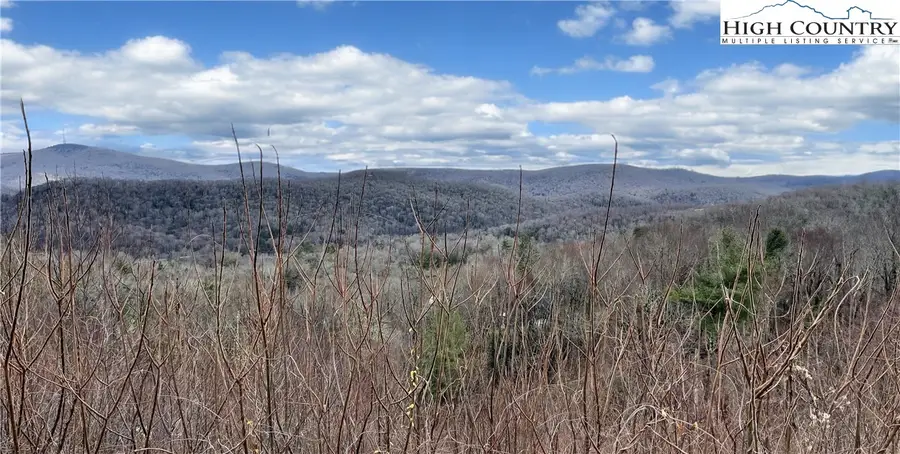 Lot 70 Linhigh Drive, Montezuma, NC 28657 - Image #3