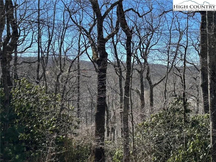 6 Dameron Drive, Blowing Rock, NC 28605 - Image #3