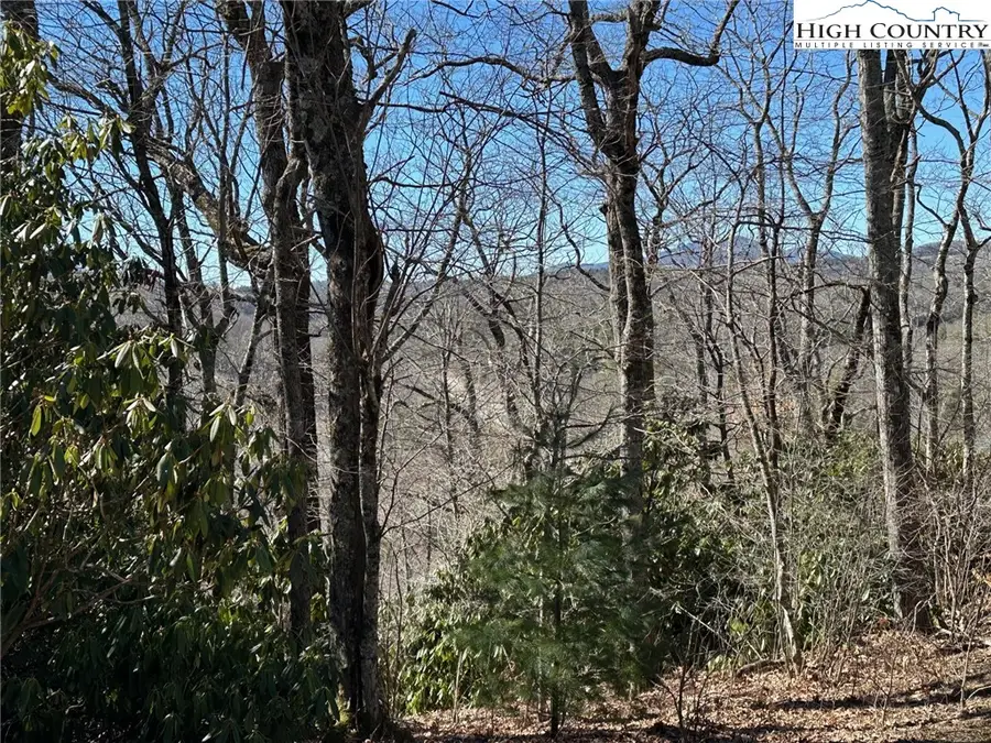 7 Dameron Drive, Blowing Rock, NC 28605 - Image #3