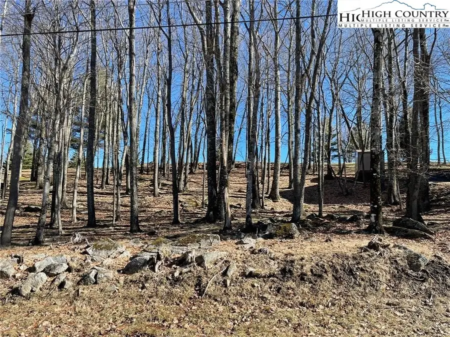 493 Saint Andrews Road, Beech Mountain, NC 28604 - Image #2