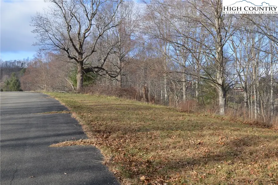 Lot #44 Prime Circle, Piney Creek, NC 28663 - Image #2