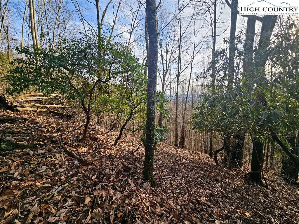 Lot 111 Sunset View Dr, Grassy Creek, NC 28631 - Image #1