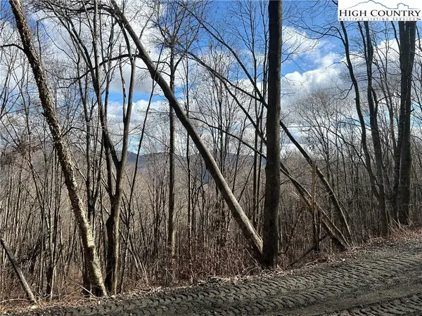 Lot 7 Woodfern Way, Todd, NC 28684