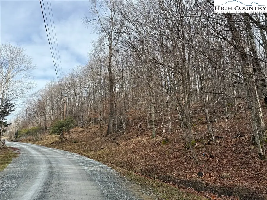 109 Hawthorne Road, Beech Mountain, NC 28604 - Image #2