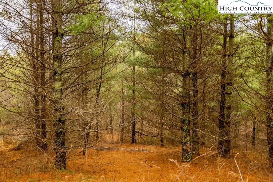 Lot #5 Alta Vista Lane, Sparta, NC 28675 - Image #1