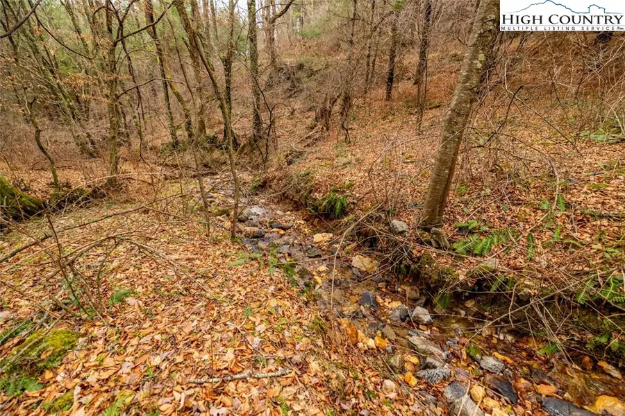 Lot #5 Alta Vista Lane, Sparta, NC 28675 - Image #2