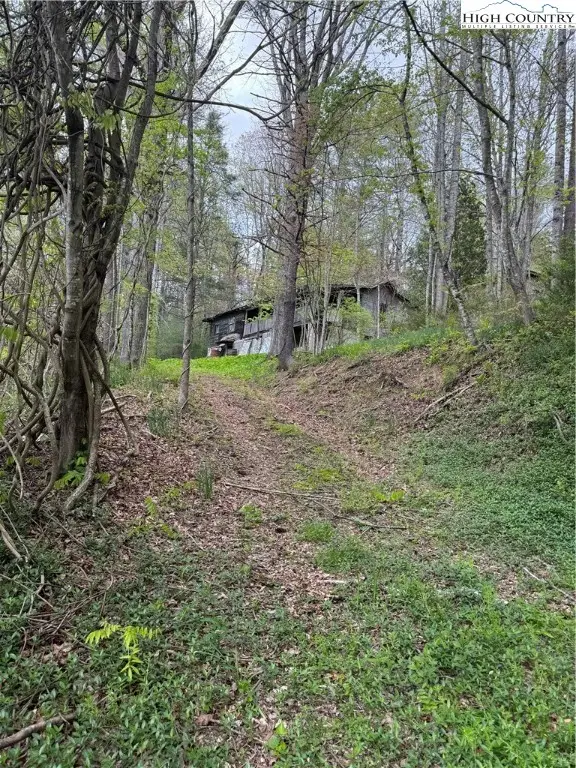 TBD Us Highway 19e Road, Newland, NC 28657 - Image #1