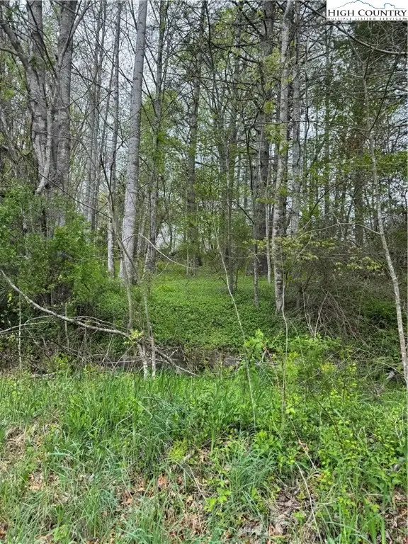 TBD Us Highway 19e Road, Newland, NC 28657 - Image #3