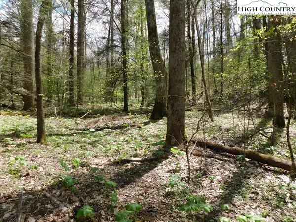 TBD Lot 26 Black Bear Trail, Linville, NC 28646