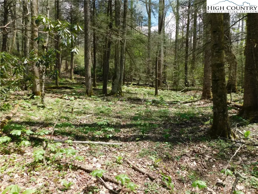 TBD Lot 26 Black Bear Trail, Linville, NC 28646 - Image #3