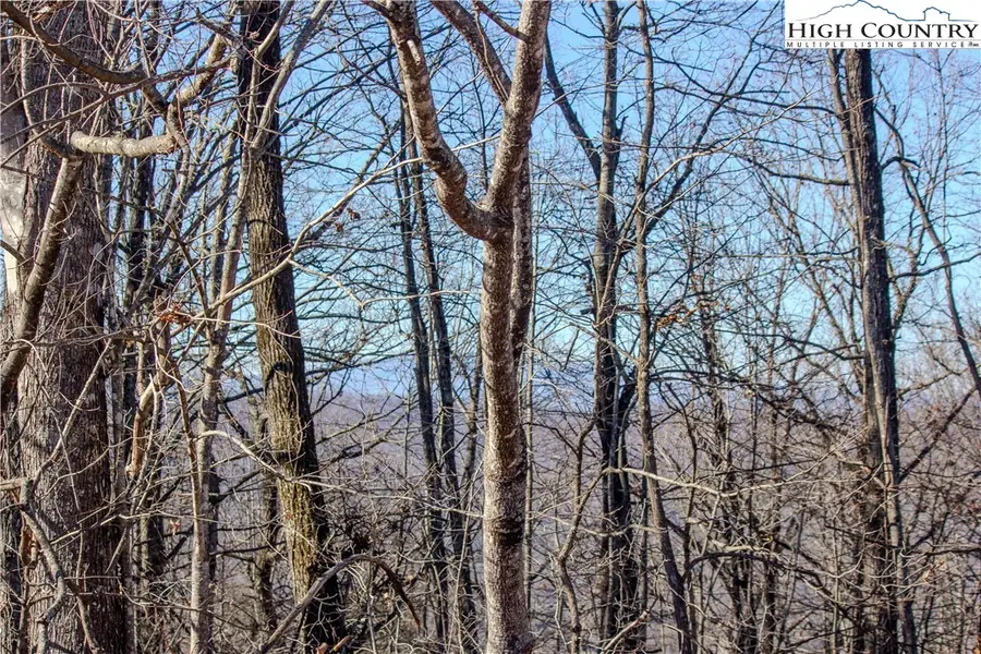 2206 Nighthawk Ridge Court, Lenoir, NC 28645 - Image #3