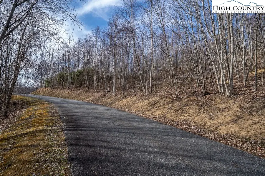 Lot 25 TBD Lake View Drive, Elk Park, NC 28622 - Image #2