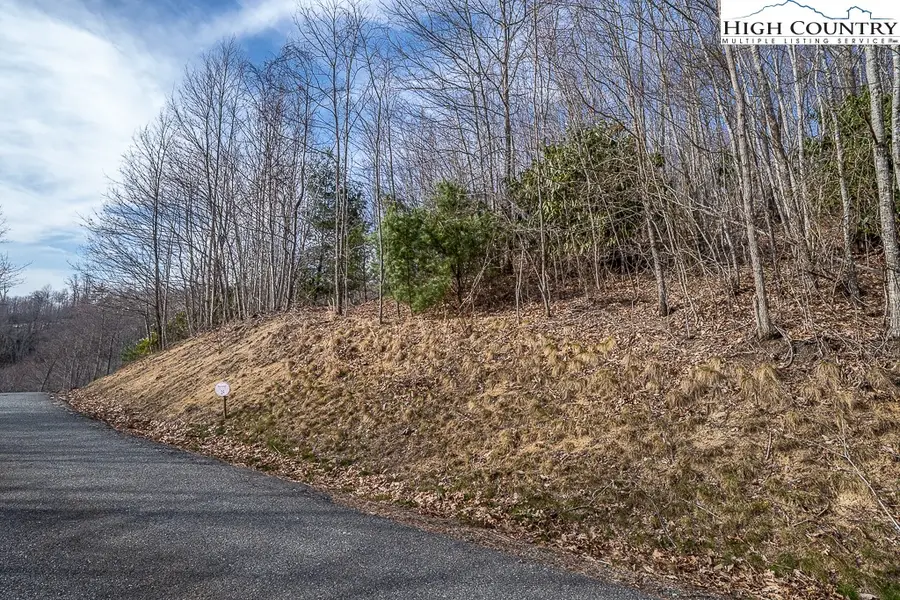 Lot 25 TBD Lake View Drive, Elk Park, NC 28622 - Image #3