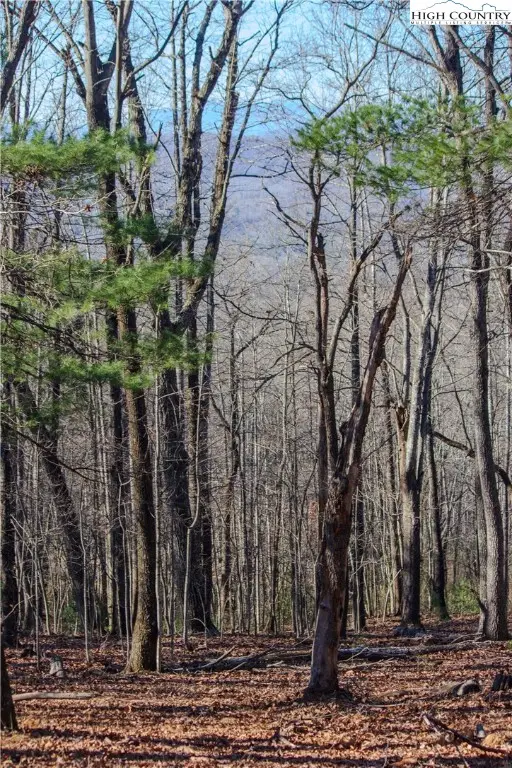 2210 Nighthawk Ridge Court, Lenoir, NC 28645 - Image #2