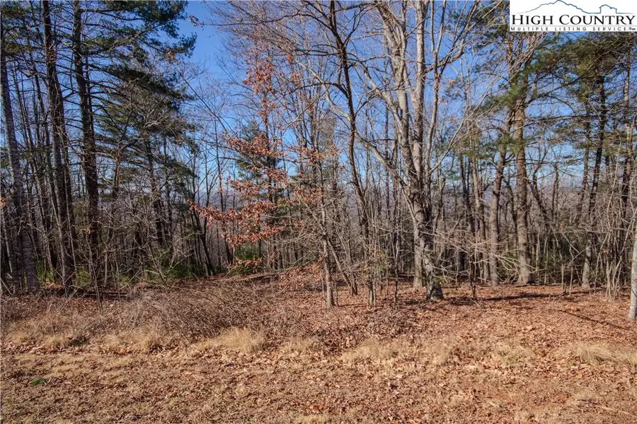 2210 Nighthawk Ridge Court, Lenoir, NC 28645 - Image #3