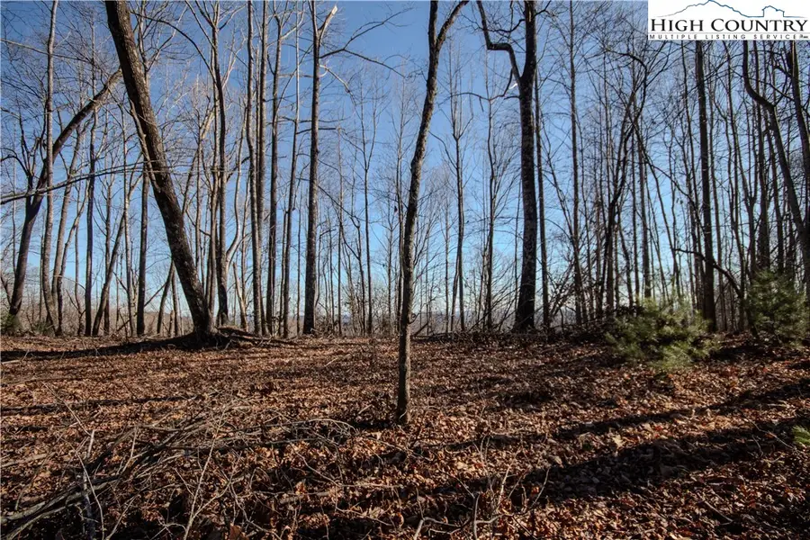 2211 Nighthawk Ridge Court, Lenoir, NC 28645 - Image #3