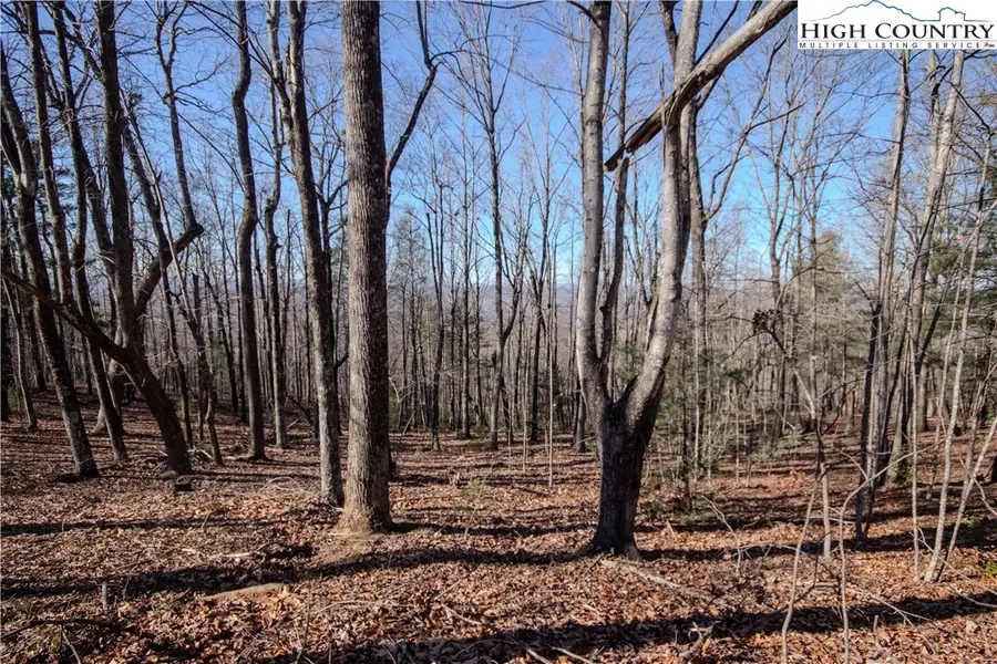 2212 Nighthawk Ridge Court, Lenoir, NC 28645 - Image #2