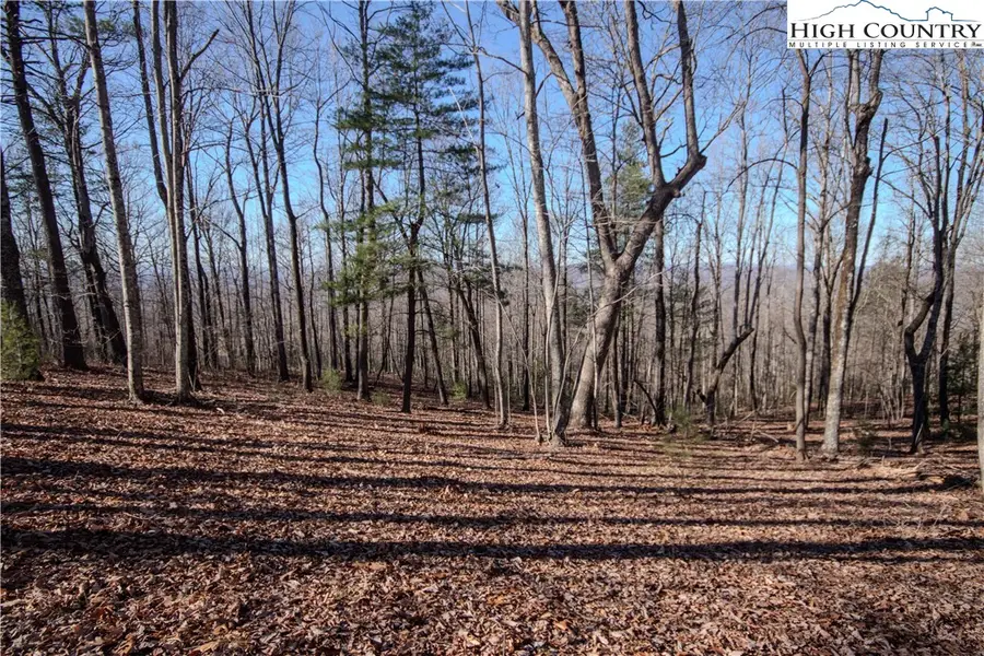 2212 Nighthawk Ridge Court, Lenoir, NC 28645 - Image #3