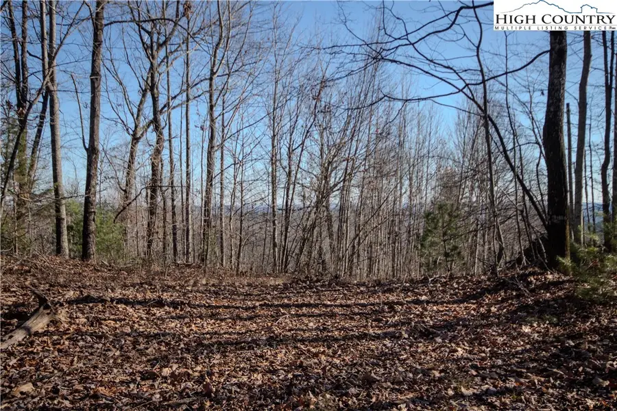 2215 Nighthawk Ridge Court, Lenoir, NC 28645 - Image #3