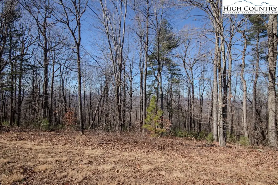 2216 Nighthawk Ridge Court, Lenoir, NC 28645 - Image #2