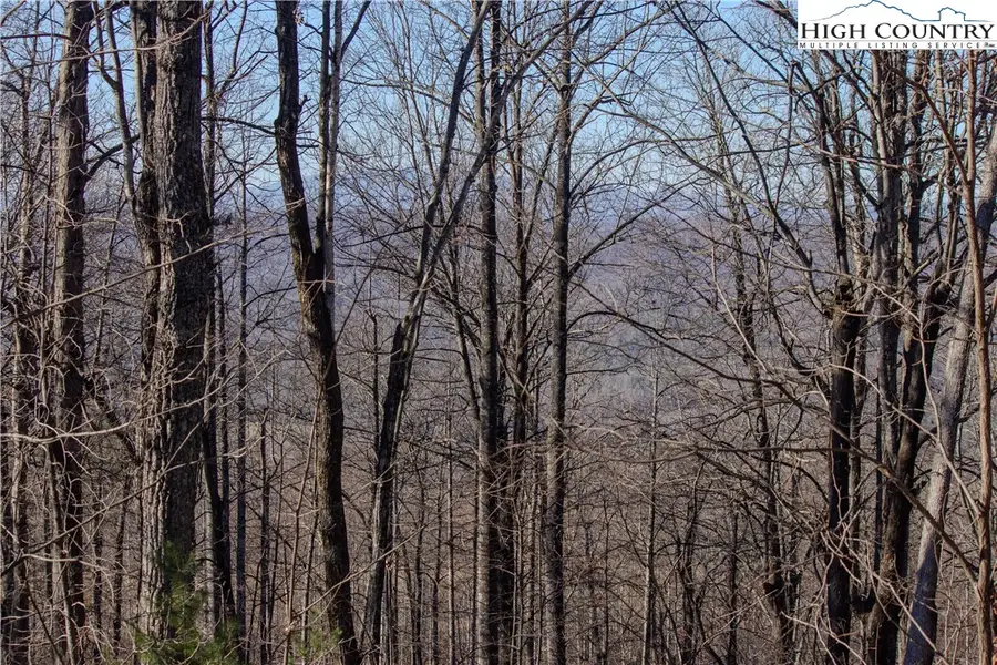 2216 Nighthawk Ridge Court, Lenoir, NC 28645 - Image #3