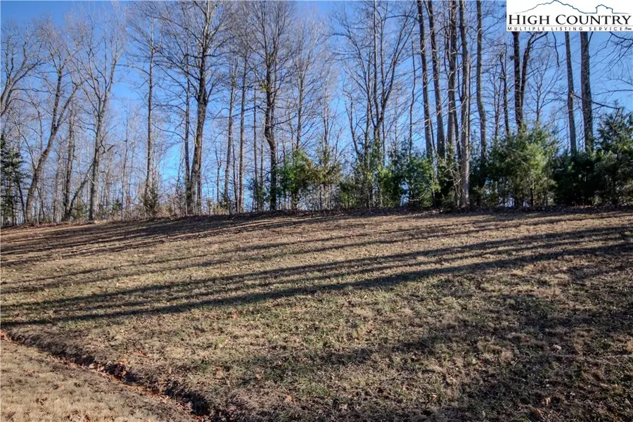 2221 Nighthawk Ridge Court, Lenoir, NC 28645 - Image #2