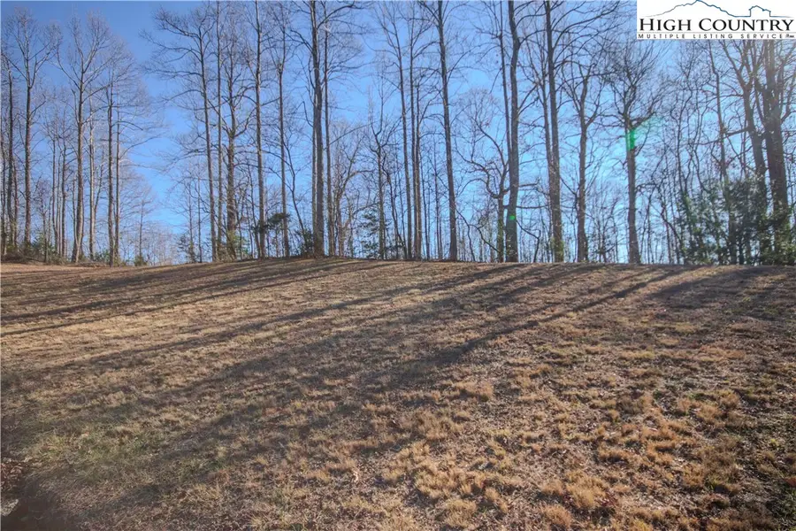 2223 Nighthawk Ridge Court, Lenoir, NC 28645 - Image #2